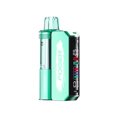 Miami Mint | Foger Switch Pro Kit 5% - 30K Puffs Disposable Vape